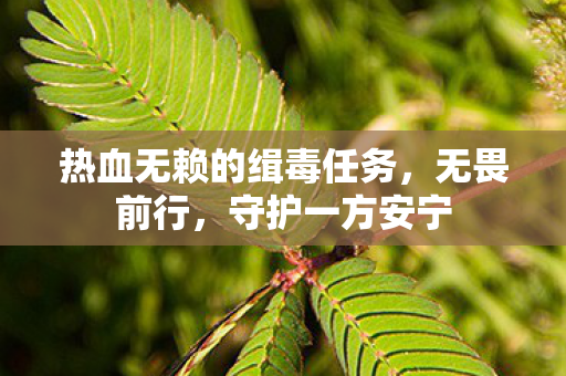 热血无赖的缉毒任务图片