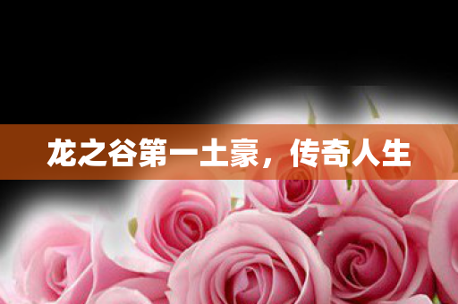 龙之谷第一土豪图片
