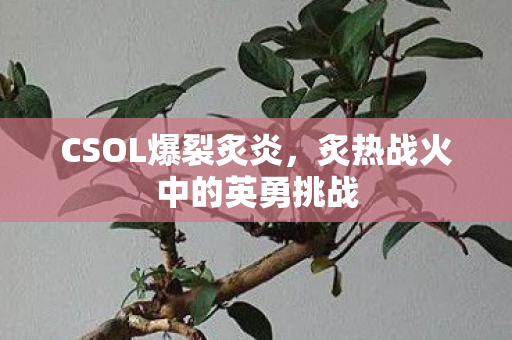 炙热战火中的英勇挑战图片