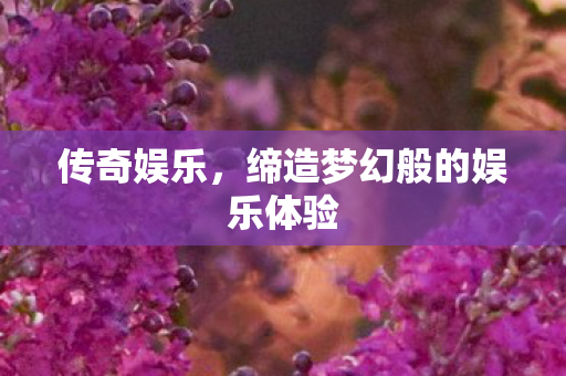 缔造梦幻般的娱乐体验图片