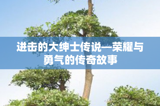 荣耀与勇气的传奇故事图片