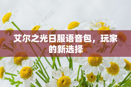 艾尔之光日服语音包图片