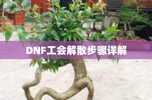 DNF工会解散步骤详解图片