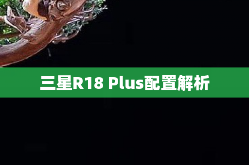 三星R18 Plus配置解析图片
