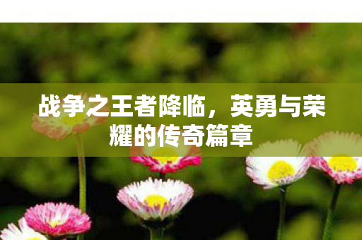 英勇与荣耀的传奇篇章图片