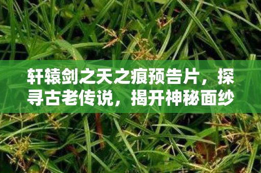 轩辕剑之天之痕预告片图片