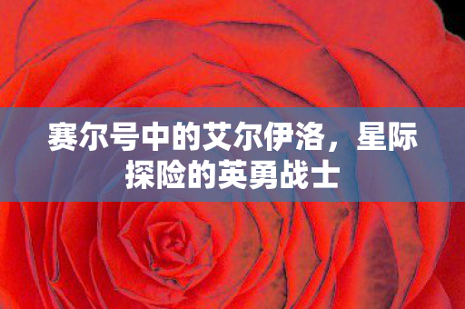 赛尔号中的艾尔伊洛图片