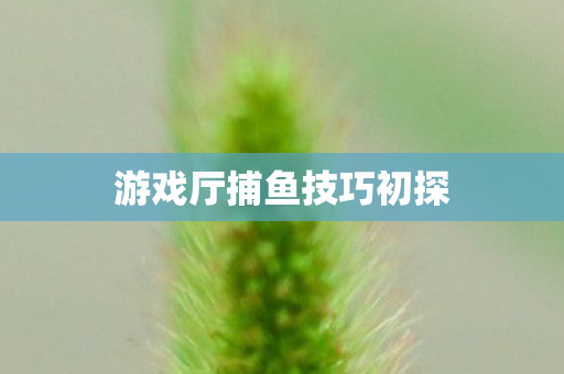 游戏厅捕鱼技巧初探图片