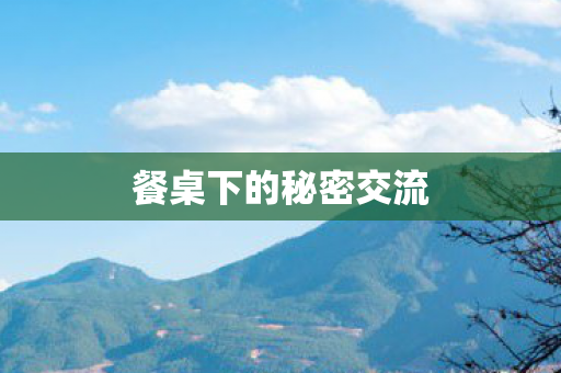 餐桌下的秘密交流图片