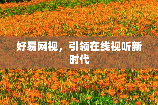 引领在线视听新时代图片