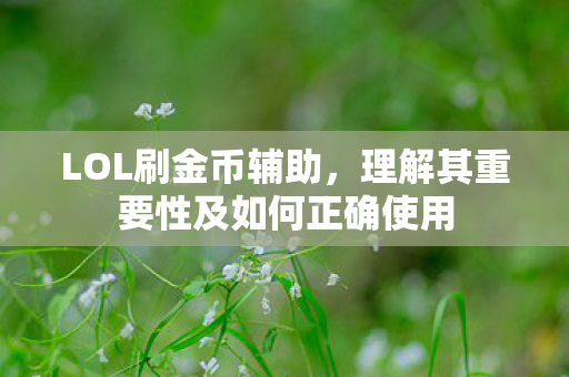 理解其重要性及如何正确使用图片