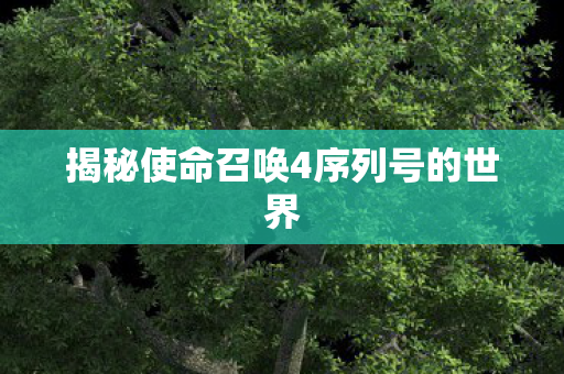 揭秘使命召唤4序列号的世界图片