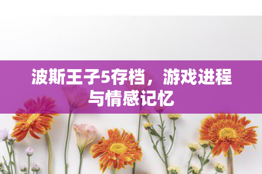 游戏进程与情感记忆图片