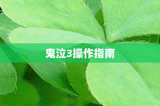 鬼泣3操作指南图片