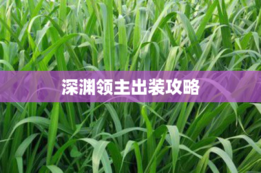 深渊领主出装攻略图片