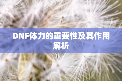 DNF体力的重要性及其作用解析图片