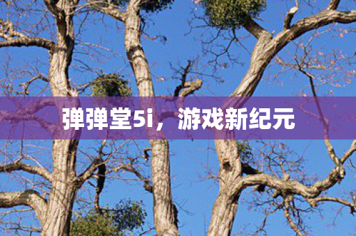 弹弹堂5i图片