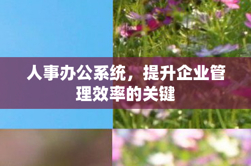 提升企业管理效率的关键图片