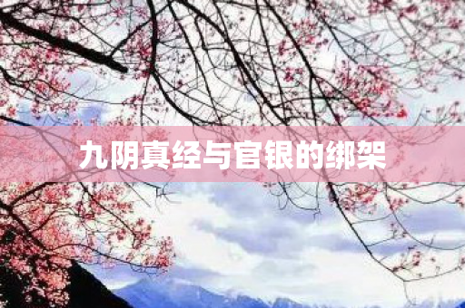 九阴真经与官银的绑架图片