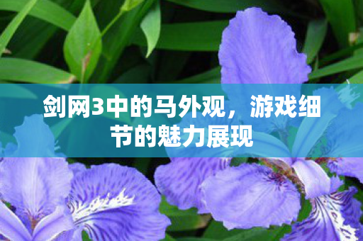 游戏细节的魅力展现图片