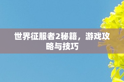 世界征服者2秘籍图片