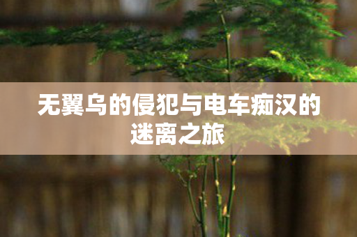 无翼乌的侵犯与电车痴汉的迷离之旅图片