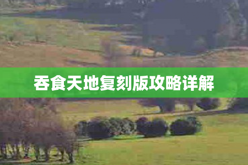 吞食天地复刻版攻略详解图片