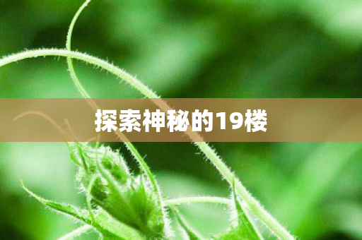 探索神秘的19楼图片