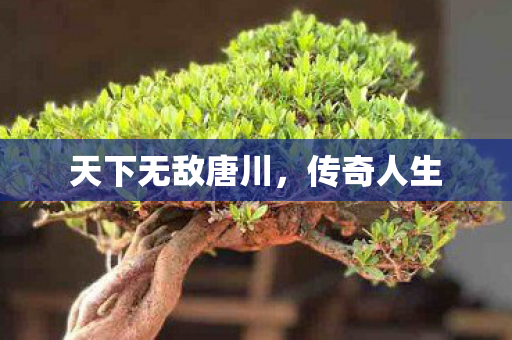 天下无敌唐川图片