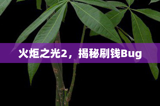 揭秘刷钱Bug图片