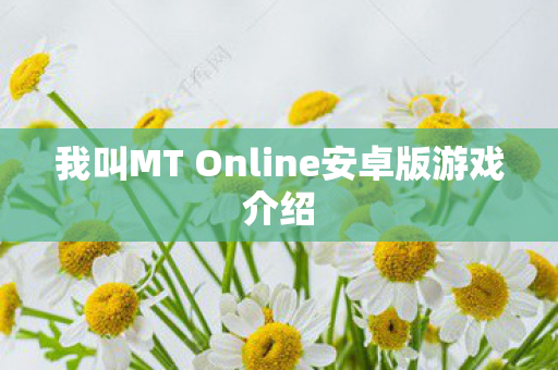 我叫MT Online安卓版游戏介绍图片