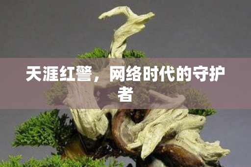 网络时代的守护者图片