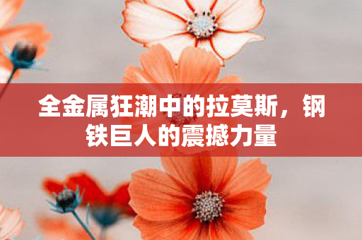 全金属狂潮中的拉莫斯图片