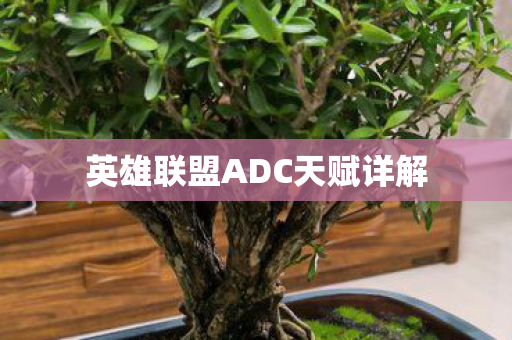 英雄联盟ADC天赋详解图片