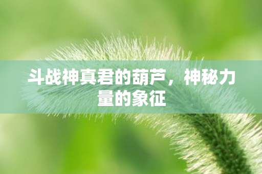 斗战神真君的葫芦图片