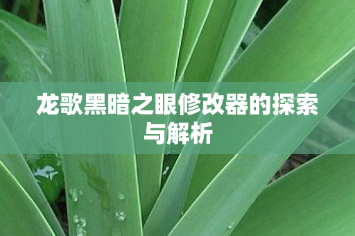 龙歌黑暗之眼修改器的探索与解析图片