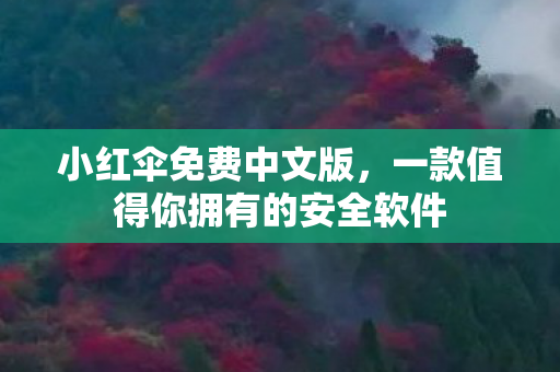 一款值得你拥有的安全软件图片