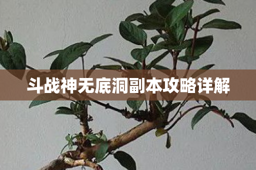 斗战神无底洞副本攻略详解图片
