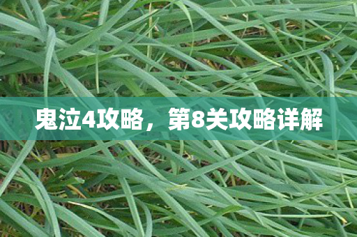 第8关攻略详解图片