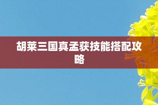 胡莱三国真孟获技能搭配攻略图片