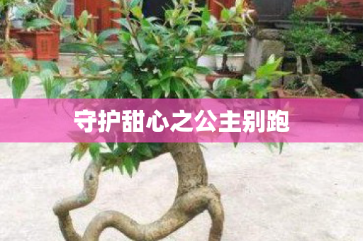守护甜心之公主别跑图片