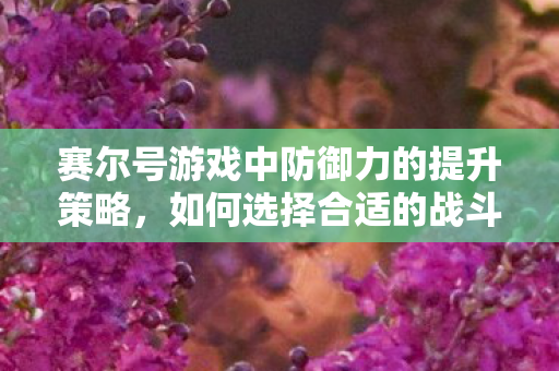 如何选择合适的战斗对象来增加防御力图片