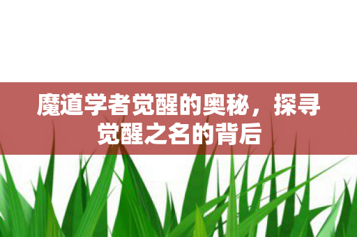 魔道学者觉醒的奥秘图片
