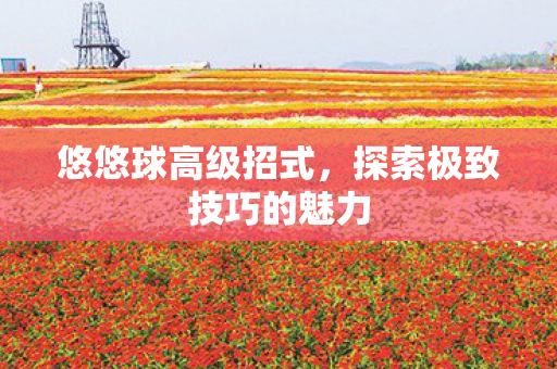 探索极致技巧的魅力图片