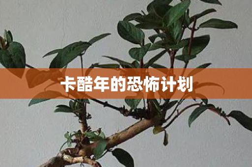 卡酷年的恐怖计划图片