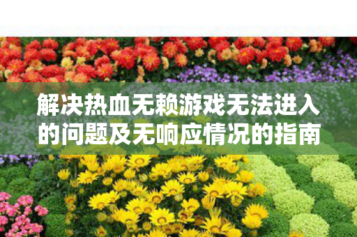 解决热血无赖游戏无法进入的问题及无响应情况的指南图片