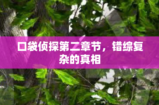 口袋侦探第二章节图片