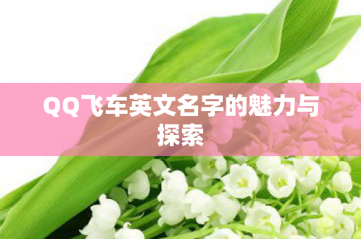QQ飞车英文名字的魅力与探索图片