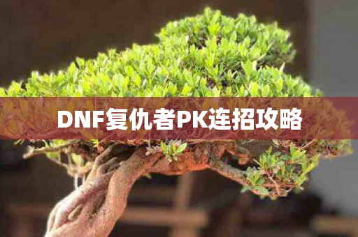 DNF复仇者PK连招攻略图片