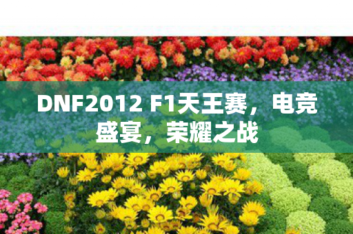 DNF2012 F1天王赛图片